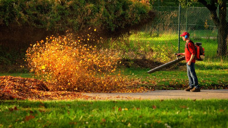 Commercial Leaf Removal