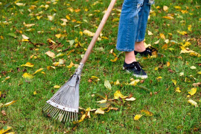 Clean Yard with Raked Leaves