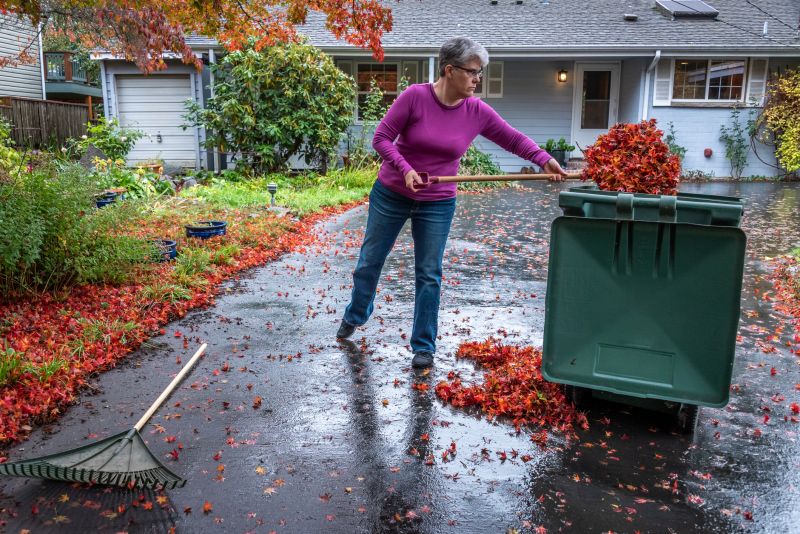 Fall leaf removal equipment