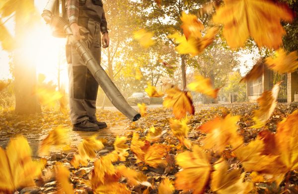 Leaf Blowing Service in Bowie