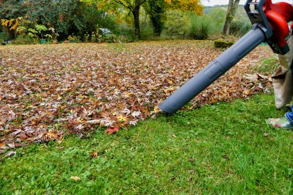 Leaf Vacuuming Service in Bowie