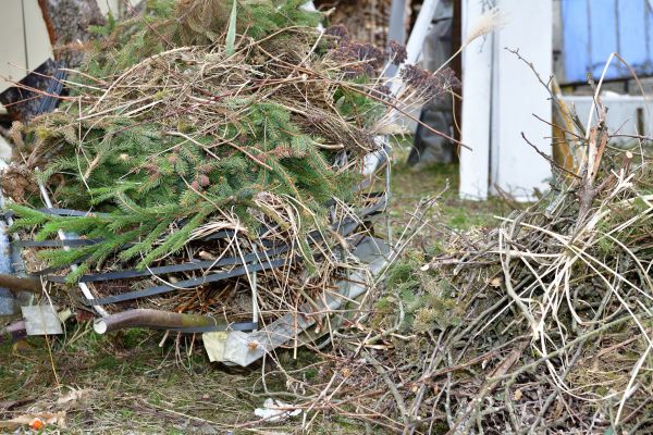 Yard Debris Removal in Bowie