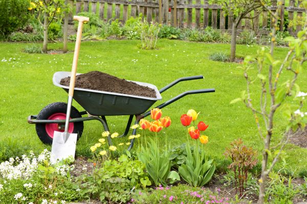 Cost of Spring Yard Cleanup in Bowie