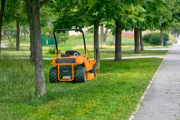 Cost of Landscaping Cleanup Service in Bowie