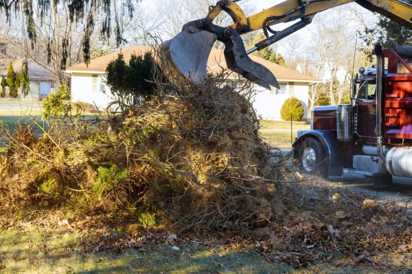 Storm Debris Removal in Bowie