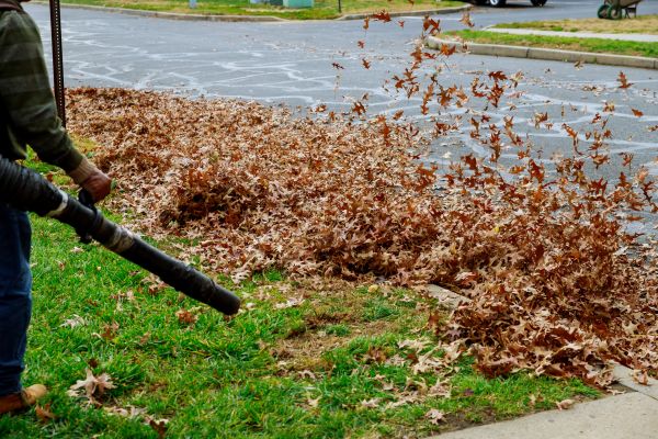 Cost of Garden Leaf Removal in Bowie