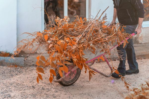 Cost of Lawn Debris Cleanup in Bowie