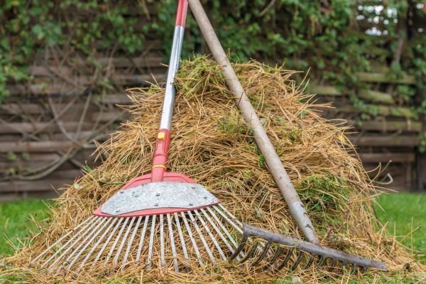 Cost of Pine Straw Clearing in Bowie