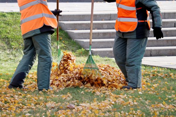 Cost of Leaf Hauling Service in Bowie