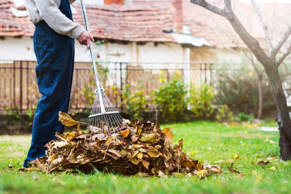 Cost of Spring Lawn Cleanup in Bowie