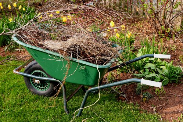 Lawn Waste Removal in Bowie