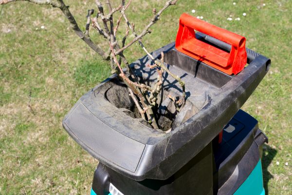 Cost of Brush Cleanup Service in Bowie