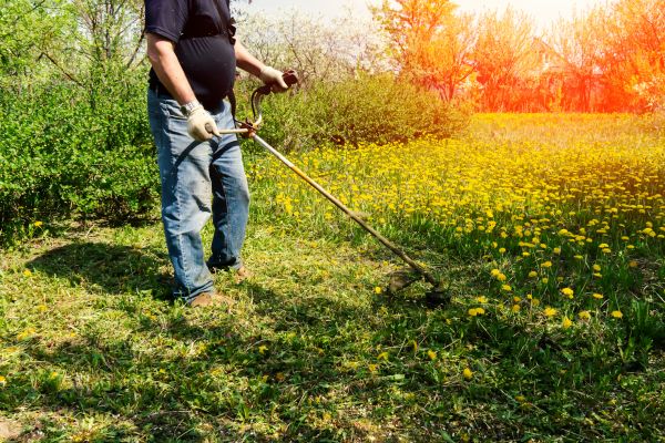 Cost of Yard Clearing Service in Bowie