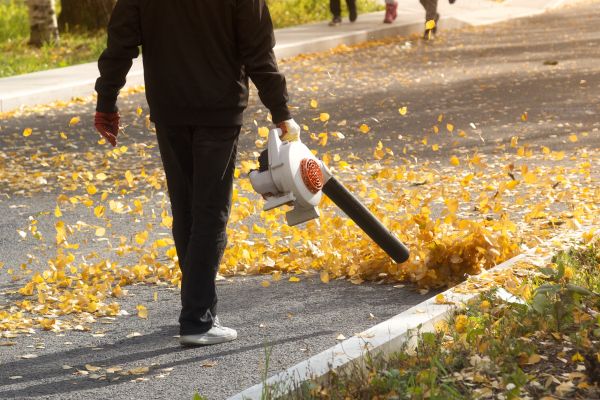 Commercial Leaf Removal in Bowie